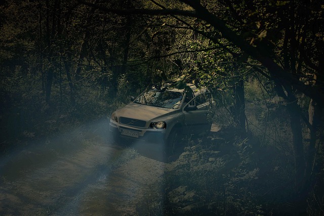 Volvo Araçlarındaki Gizli Özellikler: Bir Keşif Yolculuğu